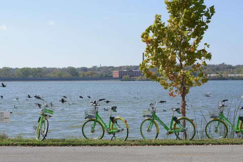 Lime Bikes